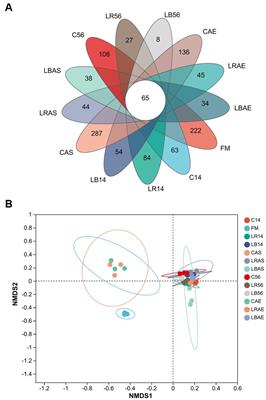 Fermentation quality, aerobic stability, and microbiome structure and function of Caragana korshinskii silage inoculated with/without Lactobacillus rhamnosus or Lactobacillus buchneri